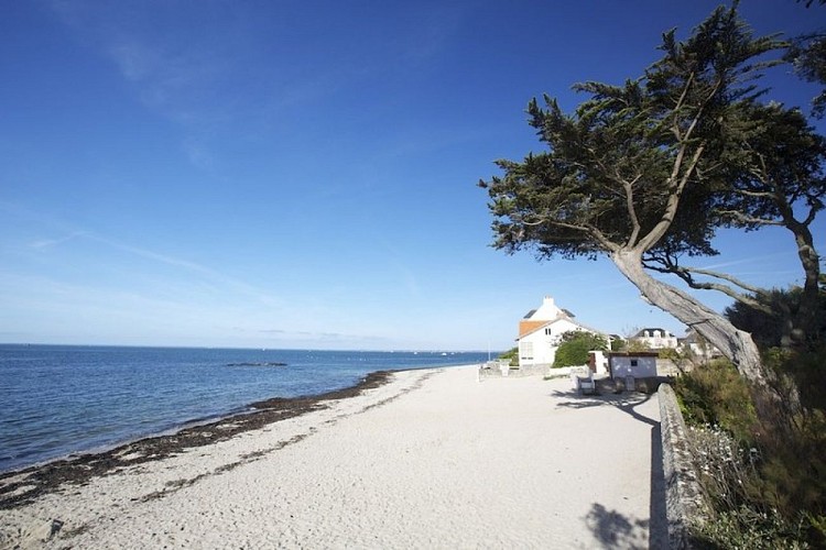 Circuit la Pointe du Castelli, Piriac-sur-Mer plage Saint Michel_2