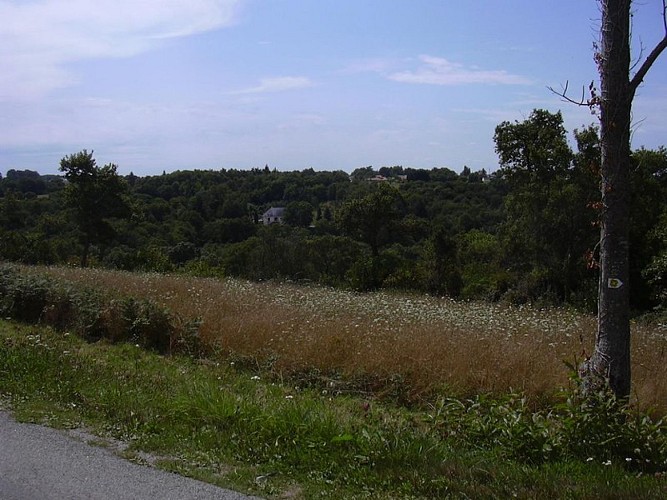 sentier_rideau10