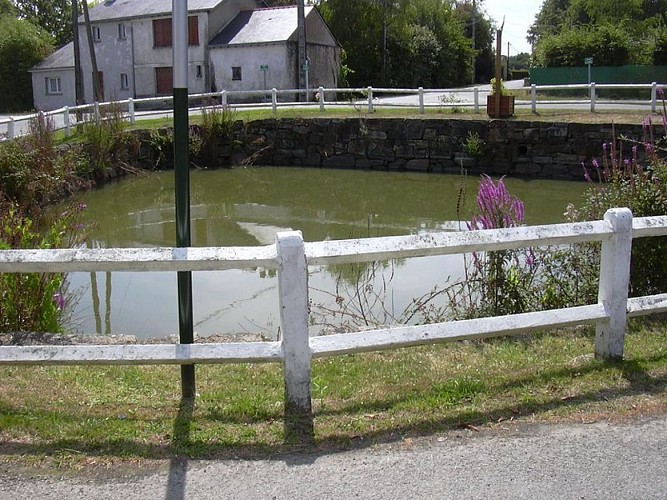 sentier_rideau15