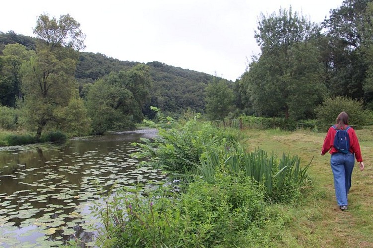 Vallée du Hâvre