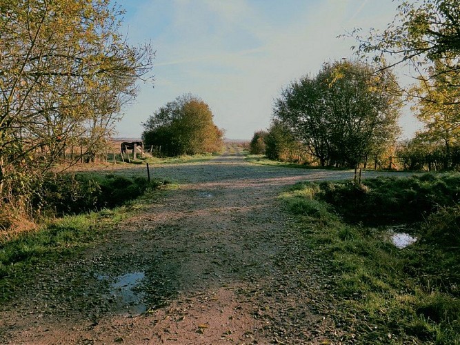 19-les-chaussees-st-malo-de-guersac-marais-de-la-ganache-4-1373672