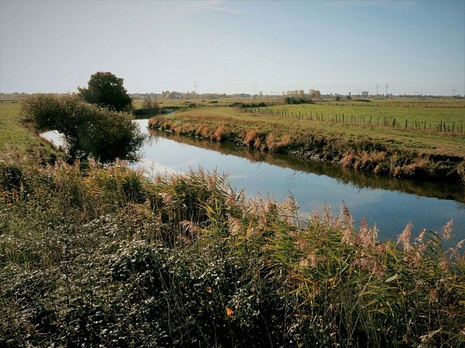 19-les-chaussees-st-malo-de-guersac-pont-du-pin-5-1373671