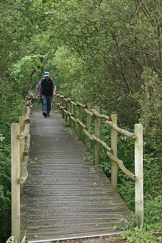 rando-pornichet-les-coteaux-dermur-1548564_1