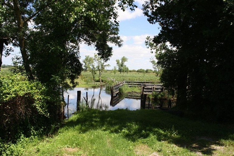 a-la-decouverte-des-iles-de-briere-saint-joachim-1393281
