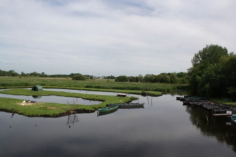 a-la-decouverte-des-iles-de-briere-saint-joachim-1393283