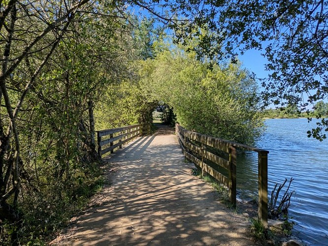 Grand etang