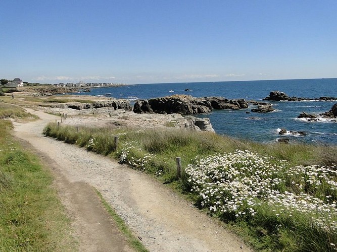 Les landes du Gouverneur - Le Croisic - sentier côtier_4