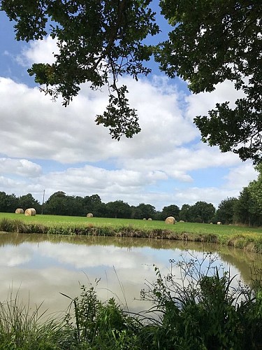 marais de Blanche Noë