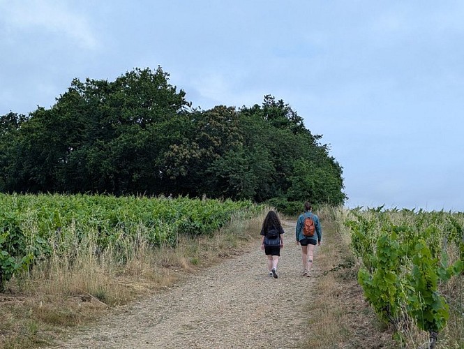 Les Pierres Meslières