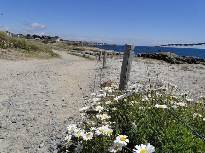 Circuit le tour de côte, le Croisic sentier côtier_8