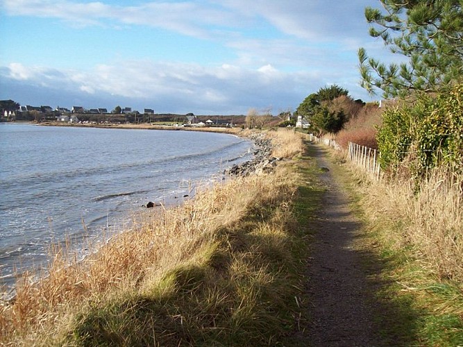 Chemin de Pen Bé, Assérac_7