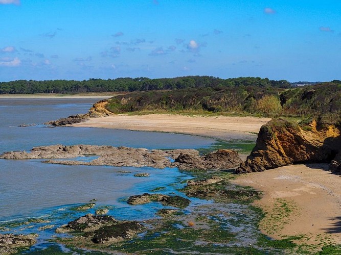 Vue du chemin de randonnée Pen bé vers Pont-Mahé, Assérac_5