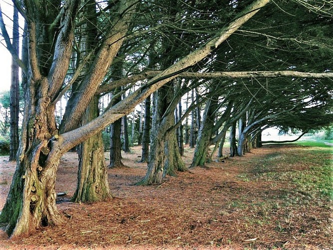 Chemin du Roy - Le Pouliguen_11