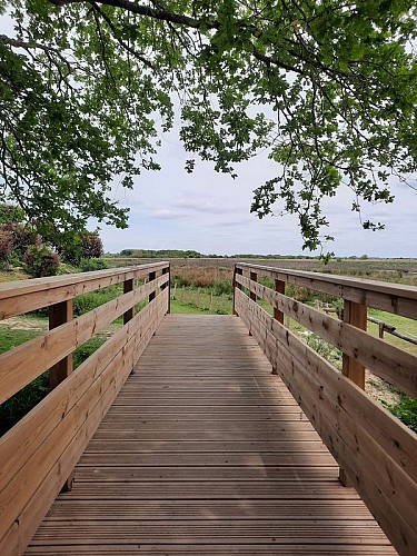Passerelle enjambant le marais