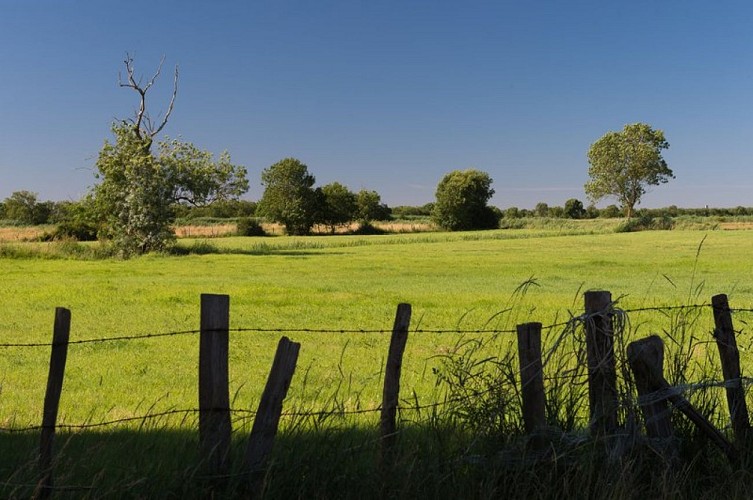 Sentier des Hauts du Sillon - Saint-Étienne-de-Montluc
