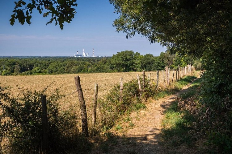 Sentier des Hauts du Sillon - Saint-Étienne-de-Montluc