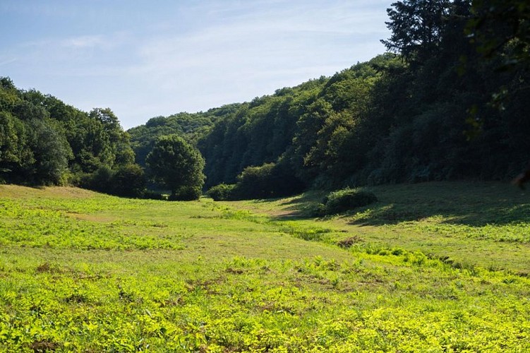 Sentier du Berliquet - Saint-Étienne-de-Montluc