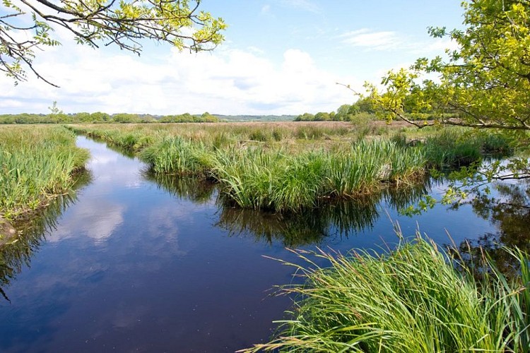 Sentier du Marais de la Roche