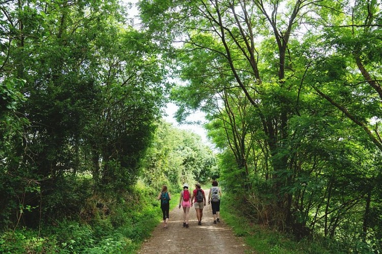 Sentier du Sillon de Bretagne - Cordemais