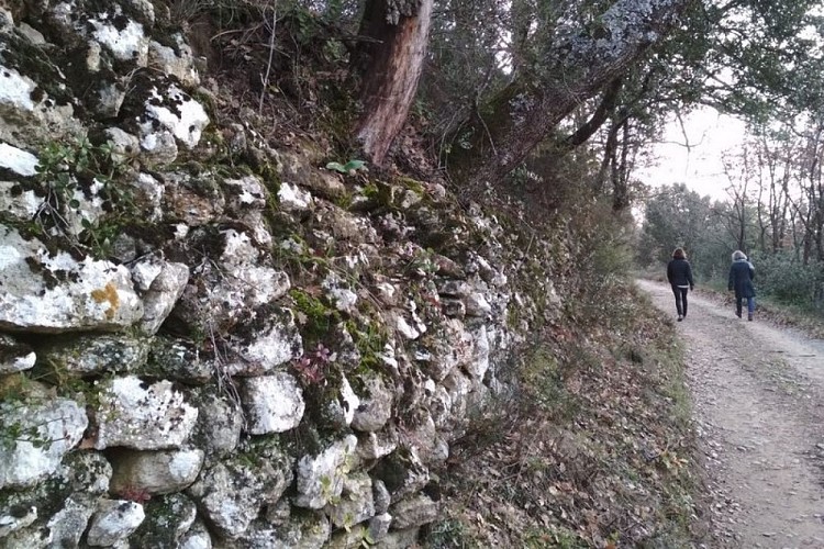 Chemin de Chamerle
