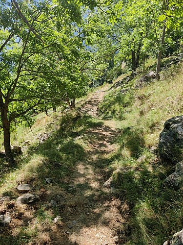 Chemin des Ayes depuis le Chazelet_La Grave