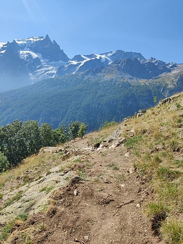 Chemin des Ayes depuis le Chazelet_La Grave