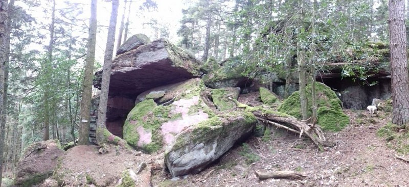 Parcours des roches de la Vancelle et Frankenbourg