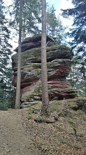 Parcours des roches de la Vancelle et Frankenbourg