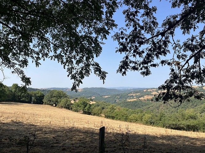 Paysage de la vallée du Viaur