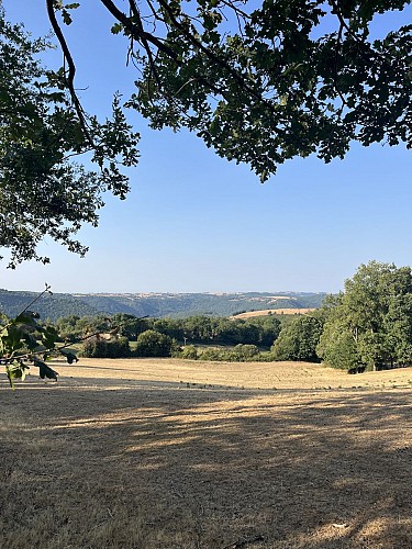 Vue sur la vallée du Viaur
