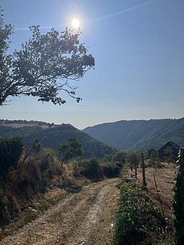 Le chemin descendant vers le Viaur