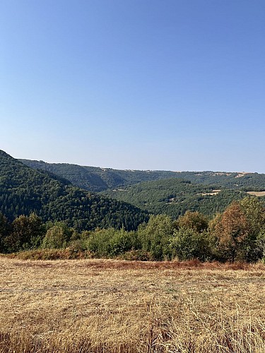 Les méandres du Viaur