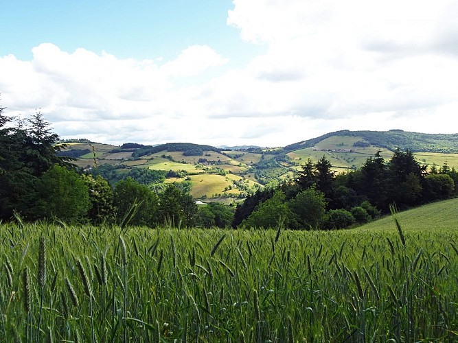 Paysage