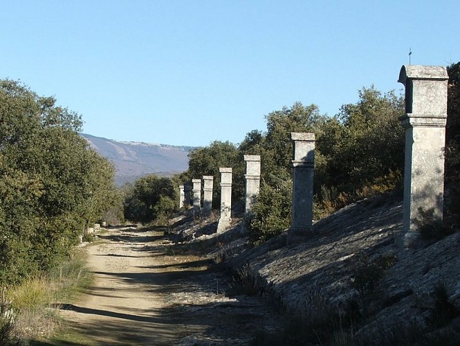 Chemin des Evêques