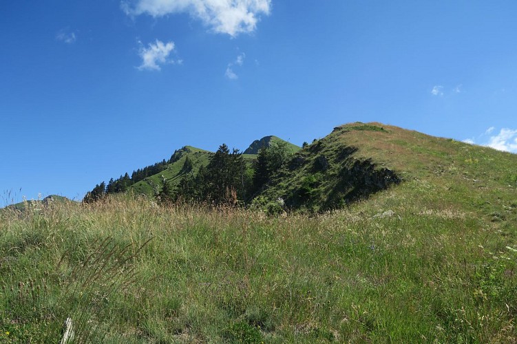 Hike: Pointe de Nantaux_Saint-Jean-d'Aulps
