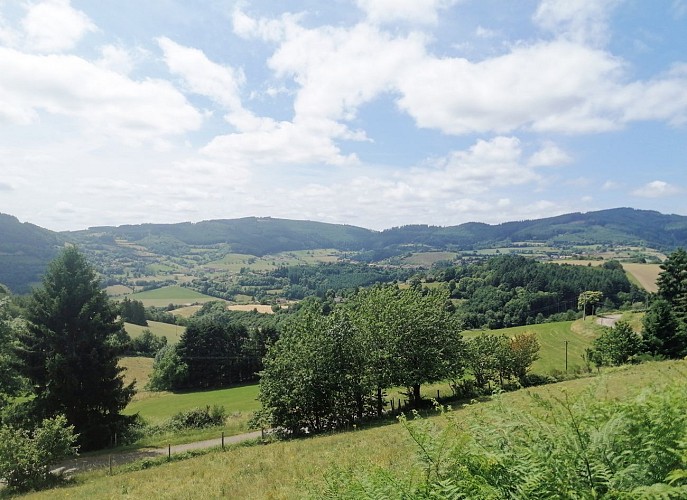 Paysage