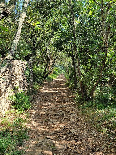 Sendero de Valorgues