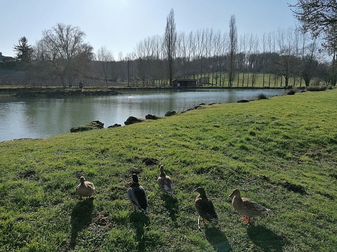 Etang de Celles 2