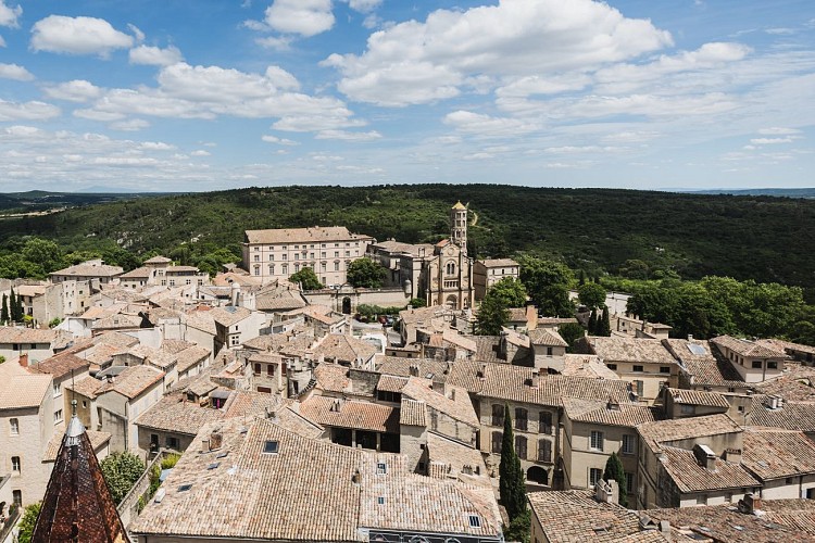 Uzège Loop: Pont du Gard