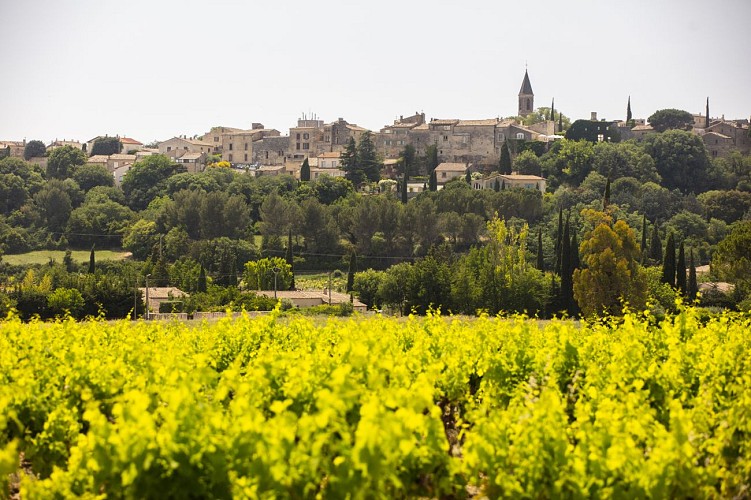 Boucle de l'Uzège Pont du Gard – variante courte_Uzès