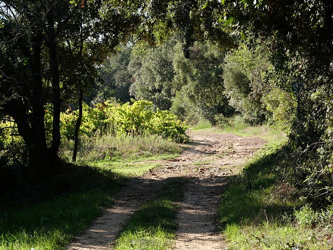 Boucle de la Garrigue