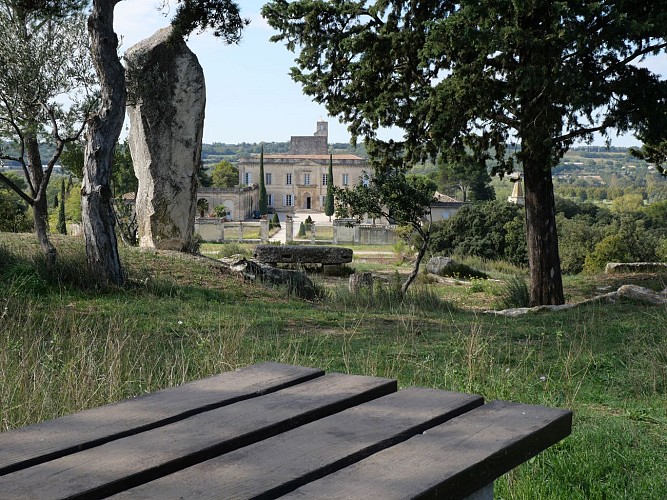 Anello del vigneto