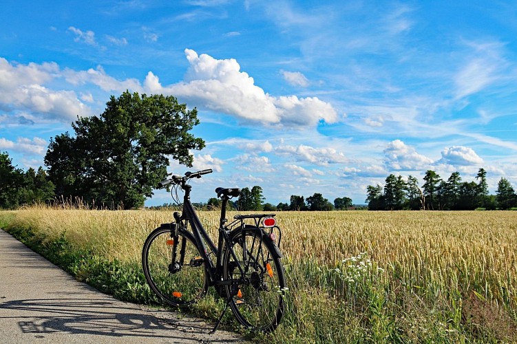 Uzès–Saint-Quentin-la-Poterie Bike Path
