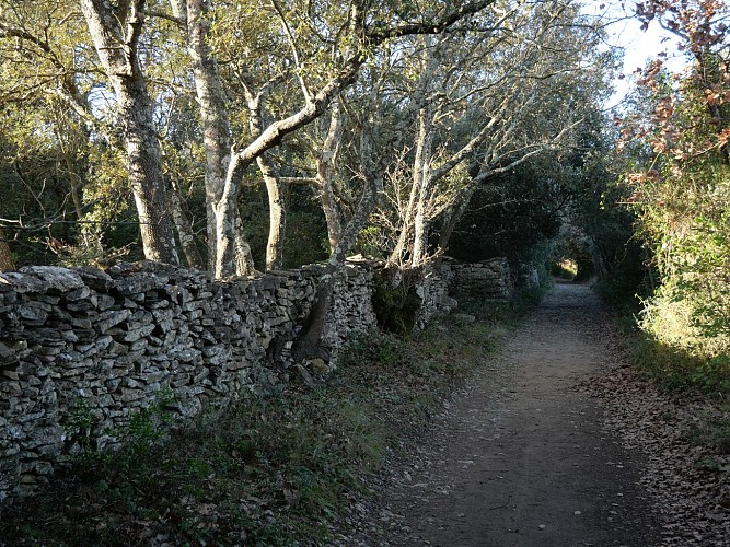 Parcours VTT 1 Uzès - Gorges du Gardon