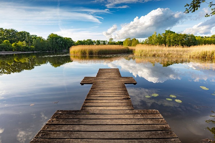Etangs de Crosagny_Saint-Jorioz