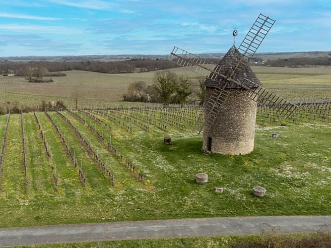 Moulin du Haut Benauge à Gornac 