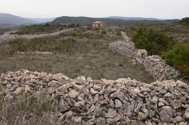 Murs et mazets