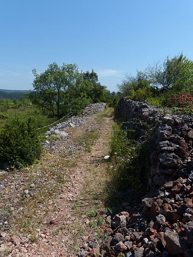 Chemin