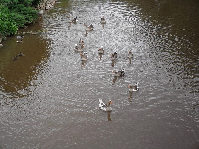 Balade à énigme La Bruche au fil de l'eau