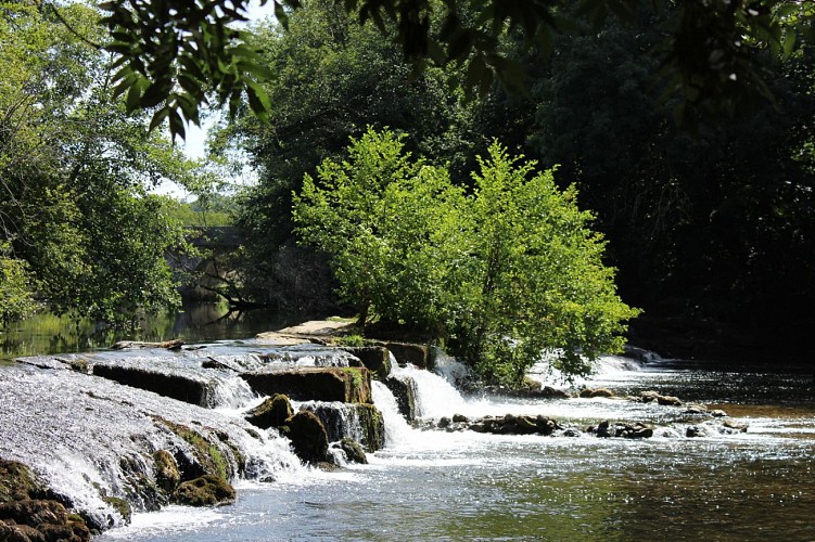 La Dronne à Grand-Brassac